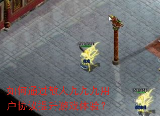 如何通过散人九九九用户协议提升游戏体验? 如何通过散人九九九用户协议提升游戏体验?