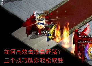 ��θ�Ч���ܰ�Ұ��������������������ȡʤ