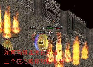 ��θ�Ч���ܰ�Ұ��������������������ȡʤ