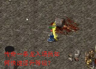 ����һ�����볡Ա��ο��������ȼ���