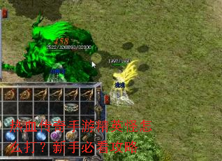 ��Ѫ�������ξ�Ӣ����ô�����ֱؿ�����