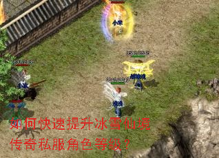 ��ο���������ѩ�ɾ�����˽����ɫ�ȼ���