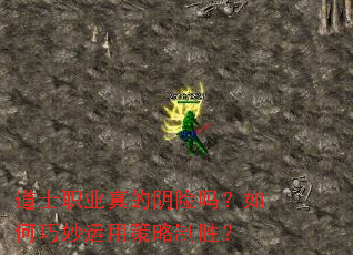 ��ʿְҵ�������������������ò�����ʤ��