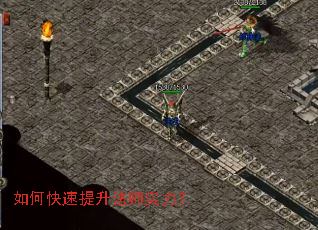 ��ο���������ʦʵ����