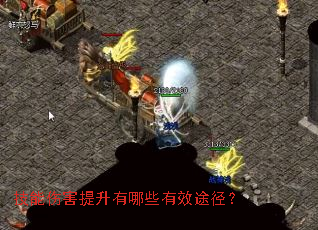 �����˺���������Щ��Ч;����