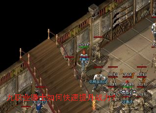 ��ְҵ��ʿ��ο�������ս����