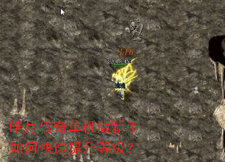 ��´��浥����������ο��������ȼ���