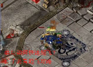 菜鸟如何快速起飞?新手必看起飞攻略 菜鸟如何快速起飞?新手必看起飞攻略