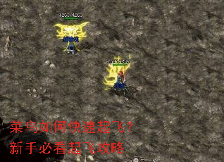 菜鸟如何快速起飞?新手必看起飞攻略 菜鸟如何快速起飞?新手必看起飞攻略