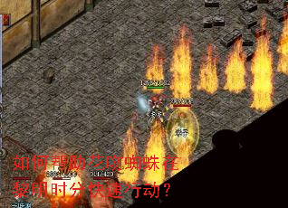 ��ΰ�������֩��������ʱ�ֿ����ж���