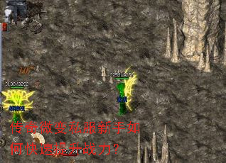 ����΢��˽��������ο�������ս����