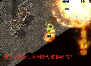 新开区有哪些福利活动值得参与? 新开区有哪些福利活动值得参与?