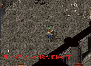 新开区有哪些福利活动值得参与? 新开区有哪些福利活动值得参与?