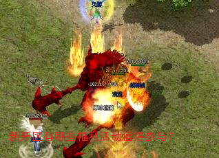 新开区有哪些福利活动值得参与? 新开区有哪些福利活动值得参与?