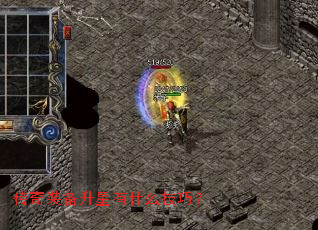 ����װ��������ʲô���ɣ�