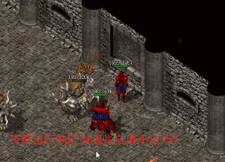 ���淨ʦ��������Щʵ��С���ɣ�