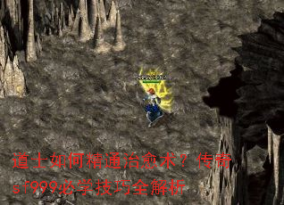 ��ʿ��ξ�ͨ������������sf999��ѧ����ȫ����