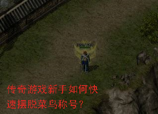 ������Ϸ������ο��ٰ��Ѳ���ƺţ�