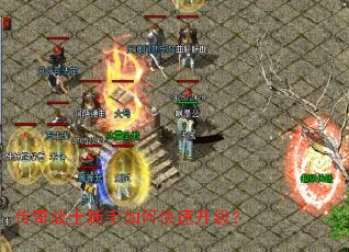 ����սʿ������ο���������