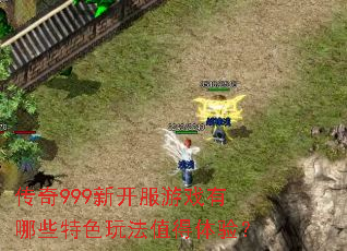 ����999�¿�����Ϸ����Щ��ɫ�淨ֵ�����飿