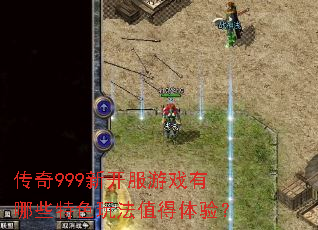 ����999�¿�����Ϸ����Щ��ɫ�淨ֵ�����飿