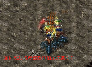 ��γ�Ϊ������Ϸ�еĶ�����֣�