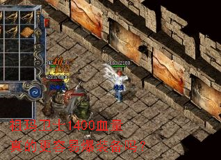 ������ʿ1400Ѫ����ĸ����ױ�װ����