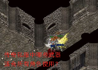 ����˽������Щ�����ʺ����н�ɫʹ�ã�