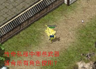 ����˽������Щ�����ʺ����н�ɫʹ�ã�