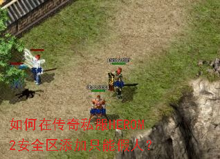 ����ڴ���˽��HEROM2��ȫ������ֻ�ܼ��ˣ�