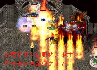 虹魔猪卫和白野猪,谁才是传奇sf高爆怪之王? 虹魔猪卫和白野猪,谁才是传奇sf高爆怪之王?