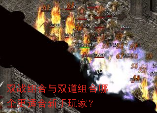 双战组合与双道组合哪个更适合新手玩家? 双战组合与双道组合哪个更适合新手玩家?