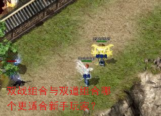 双战组合与双道组合哪个更适合新手玩家? 双战组合与双道组合哪个更适合新手玩家?