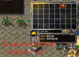 双战组合与双道组合哪个更适合新手玩家? 双战组合与双道组合哪个更适合新手玩家?