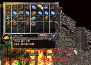 宠物不只是陪伴?传奇私服中如何利用宠物加成战力? 宠物不只是陪伴?传奇私服中如何利用宠物加成战力?