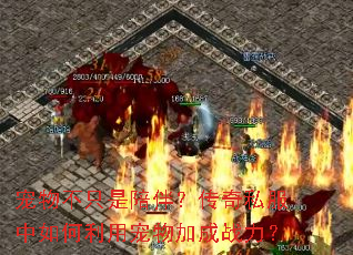 宠物不只是陪伴?传奇私服中如何利用宠物加成战力? 宠物不只是陪伴?传奇私服中如何利用宠物加成战力?