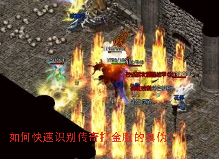 ��ο���ʶ�����������α��