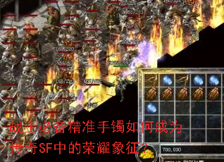 战士必备精准手镯如何成为传奇SF中的荣耀象征? 战士必备精准手镯如何成为传奇SF中的荣耀象征?