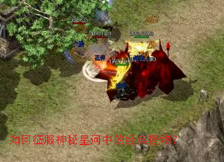 ������������Ǻ��еľ�����