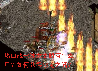 热血战歌冰龙之鳞有什么用?如何获得冰龙之鳞? 热血战歌冰龙之鳞有什么用?如何获得冰龙之鳞?