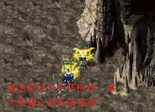 魔龙树妖与千年树妖,谁才是真正的装备宝藏? 魔龙树妖与千年树妖,谁才是真正的装备宝藏?
