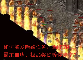 ��δ����������񣺵�NPC���ϰ���Ѫ������Ʒ�����������ã�