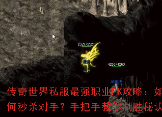 ��������˽����ǿְҵPK���ԣ������ɱ���֣��ְ��ֽ�����ʤ�ؾ�