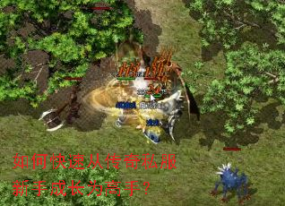 ��ο��ٴӴ���˽�����ֳɳ�Ϊ���֣�