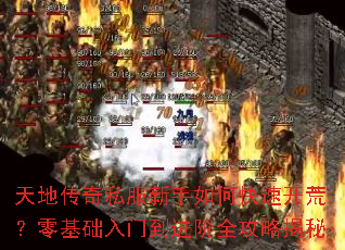 ��ش���˽��������ο��ٿ��ģ���������ŵ�����ȫ���Խ���