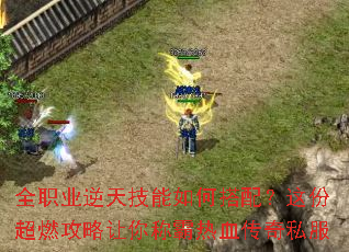 全职业逆天技能如何搭配?这份超燃攻略让你称霸热血传奇私服 全职业逆天技能如何搭配?这份超燃攻略让你称霸热血传奇私服