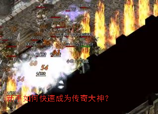 ������ο��ٳ�Ϊ�������