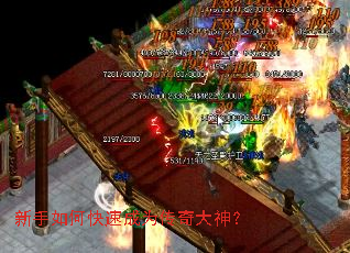 ������ο��ٳ�Ϊ�������