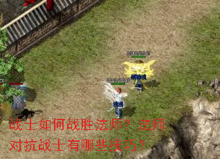 սʿ���սʤ��ʦ����ʦ�Կ�սʿ����Щ���ɣ�