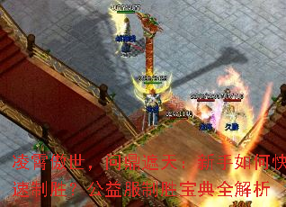 �����������ʶ����죺������ο�����ʤ���������ʤ����ȫ����